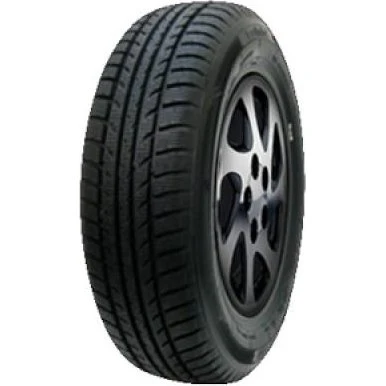 Minerva Polar Ice 1 205/70 R15 96T
