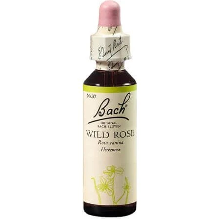 Bach Wild Rose Original - Rimedio Floreale, 20 ml