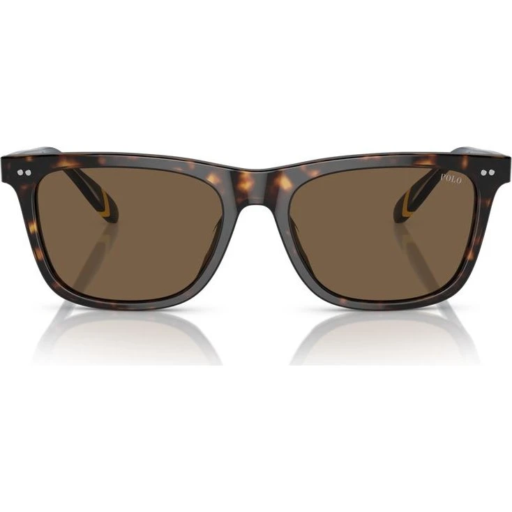 Polo Ralph Lauren PH 4205U Occhiali da Sole Uomo Avana Quadrati