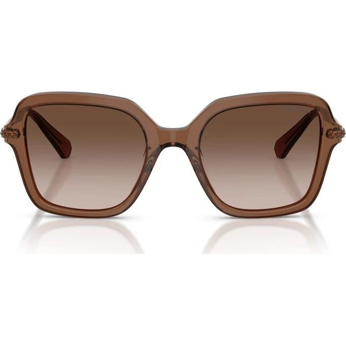 Swarovski Occhiali da Sole SK 6040 Marrone da Donna