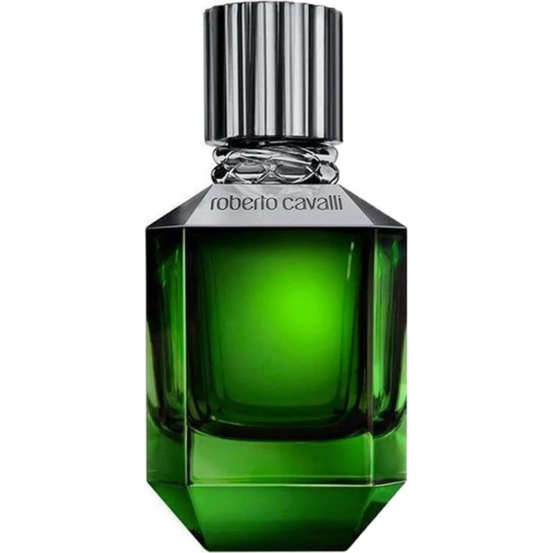 Roberto Cavalli Paradiso Found EDT 75 ml per Uomo