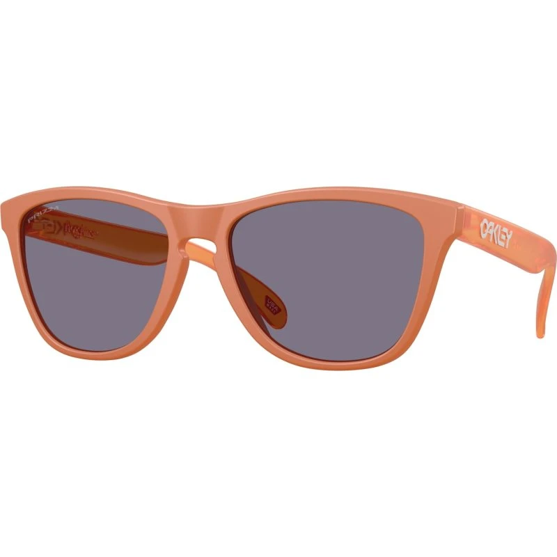 Oakley Frogskins OO9013M1 Marrone con Lenti Prizm Grey