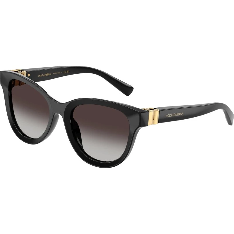 Dolce & Gabbana DG4533 Occhiali da Sole Pantos Nero/Grigio